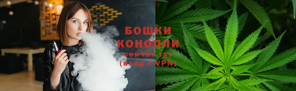 стафф Аркадак