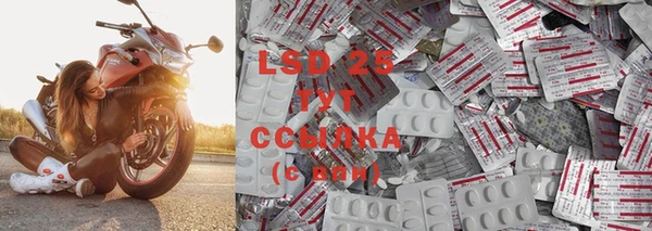 стафф Аркадак