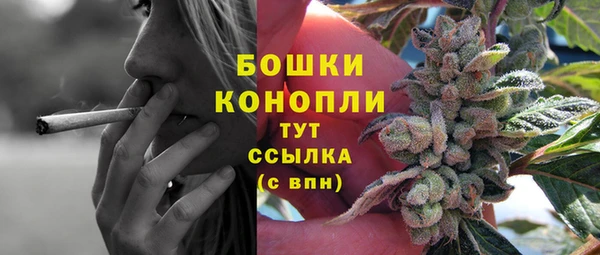 ешки Арсеньев