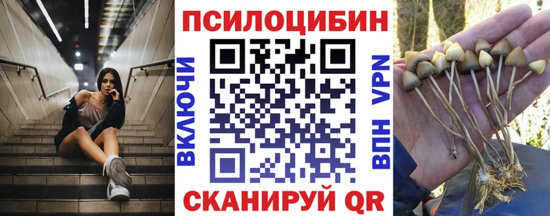 Псилоцибиновые грибы Cubensis  Белокуриха 